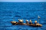 Fotografia da equipe que partiu em sua canoa artesanal, tornando toda a experiência o mais autêntica possível.