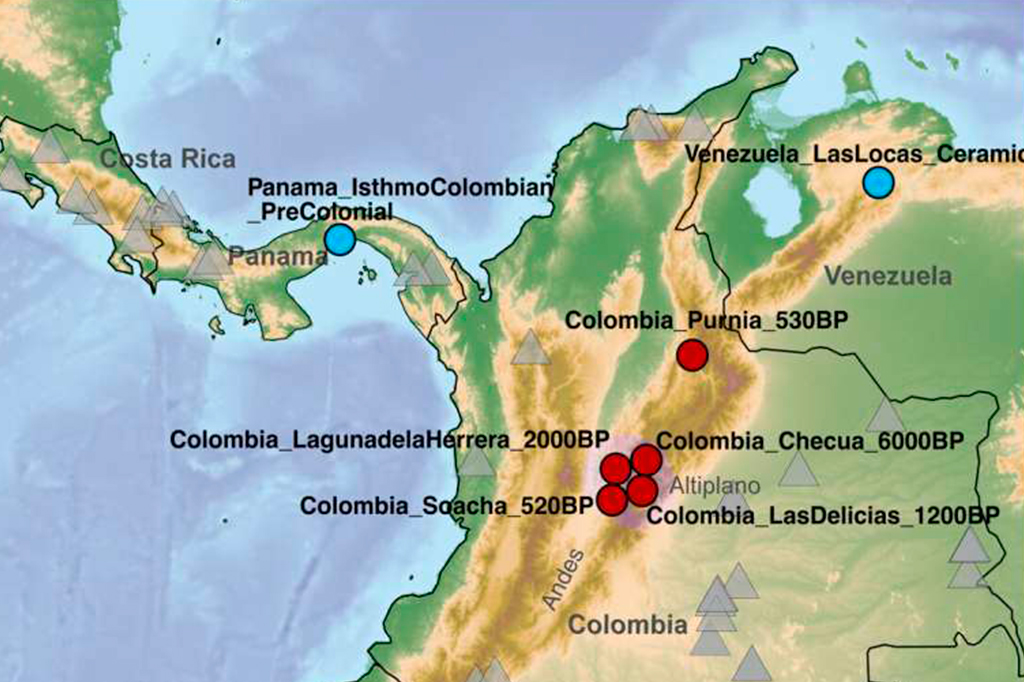 DNA revela povo misterioso que desapareceu há dois mil anos na Colômbia