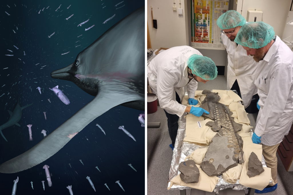 Fóssil de “dragão marinho” de 180 milhões de anos revela adaptação para caça no fundo do mar