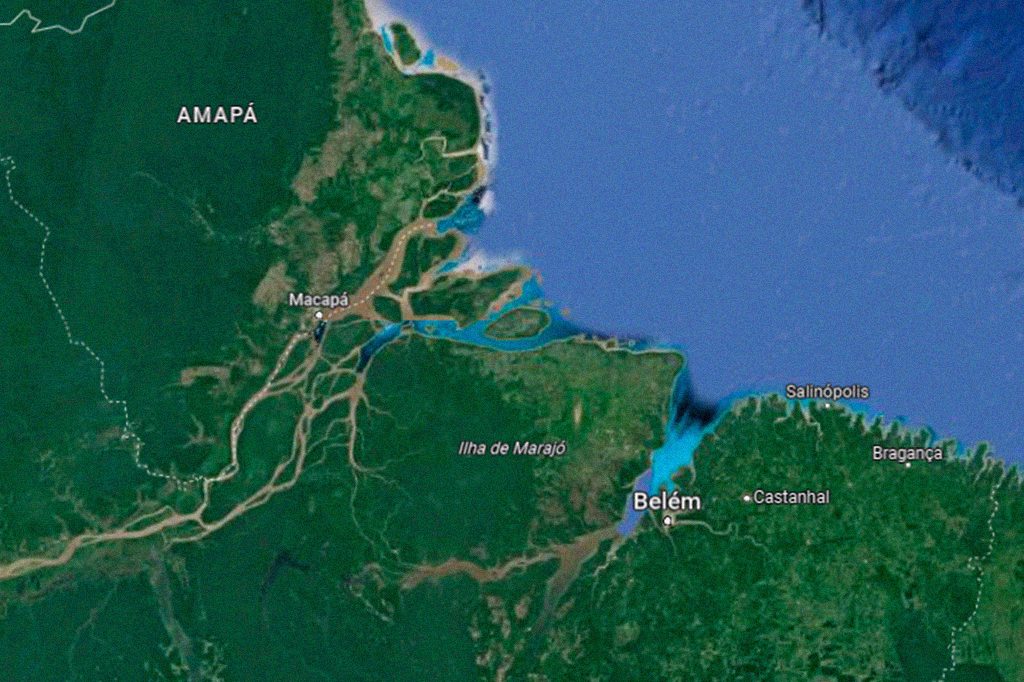 Exploração de petróleo na Foz do Amazonas é bomba para biodiversidade, alertam cientistas