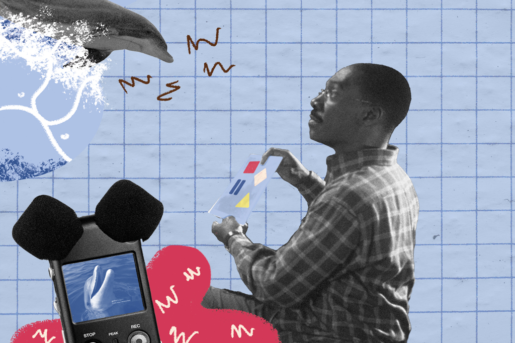 Colagem, em fundo azul e malha quadriculada, com um cientista conversando com um golfinho através de uma tabela de sinais.