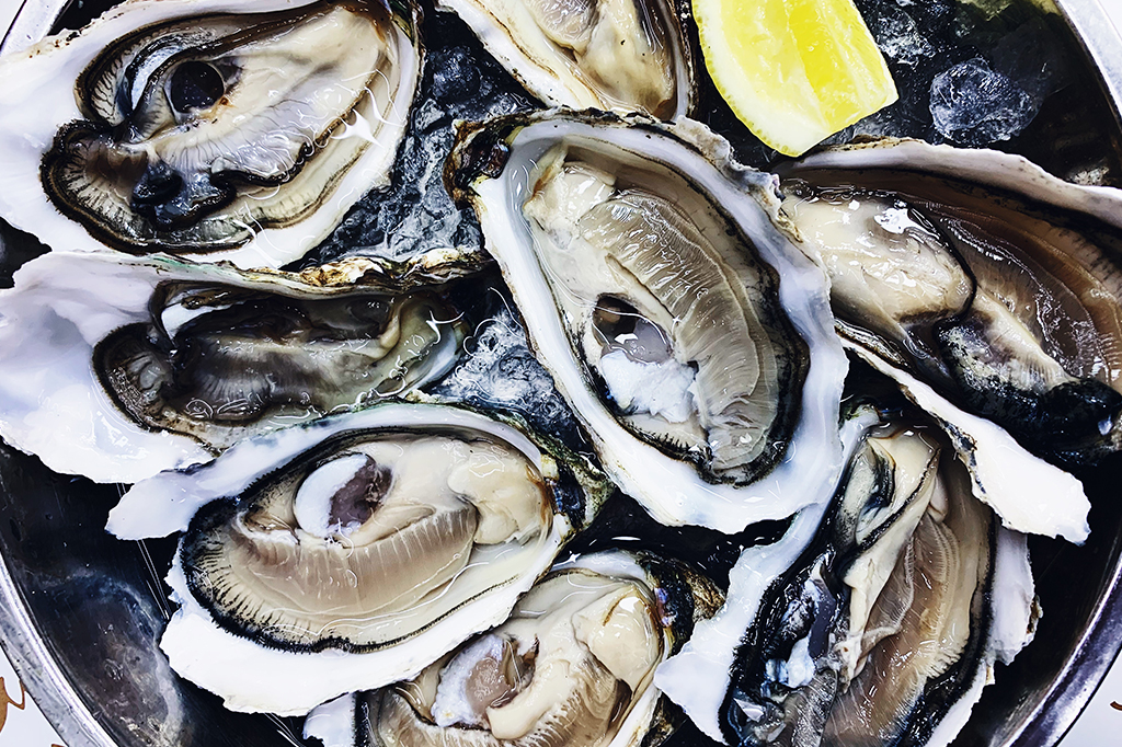 Cientistas encontram arsênio e superbactérias em ostras consumidas no Brasil