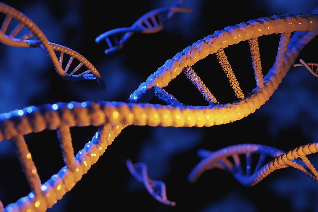 DNA viral ancião pode desempenhar um papel fundamental no desenvolvimento humano