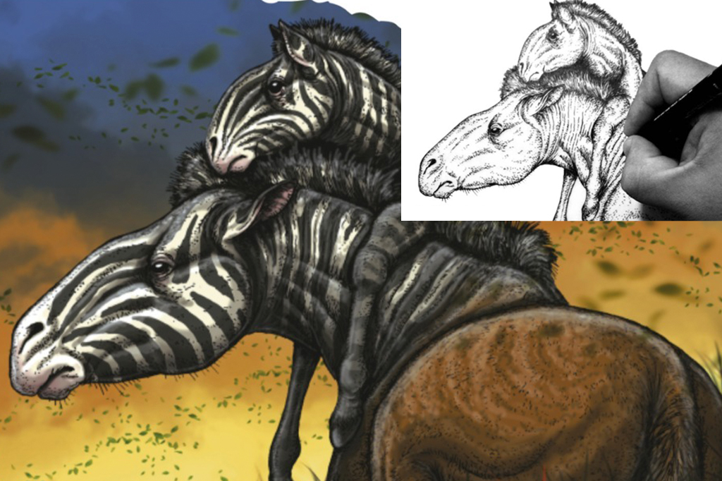 Como são feitas as ilustrações de animais pré-históricos? Paleoartista explica