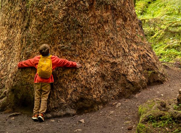 Fotografia de uma criança com uma jaqueta vermelha e mochila amarela nas costas abraçando uma árvore gigante no meio da floresta.