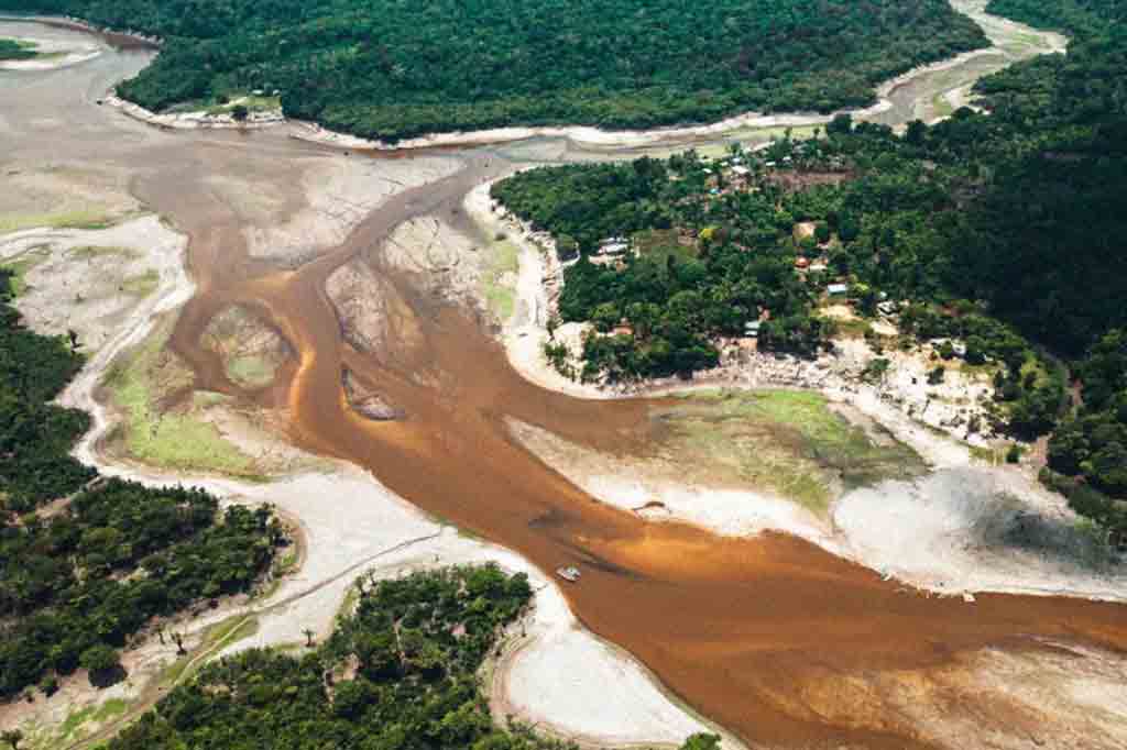 Desmatamento é responsável por 75% da diminuição de chuvas na Amazônia, revela estudo