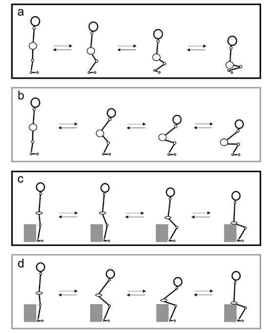 Ilustra&ccedil;&atilde;o dos movimentos t&iacute;picos de sentar e ficar em p&eacute; (b e d), comparados com posi&ccedil;&otilde;es corporais em Rei-ho (a e c)