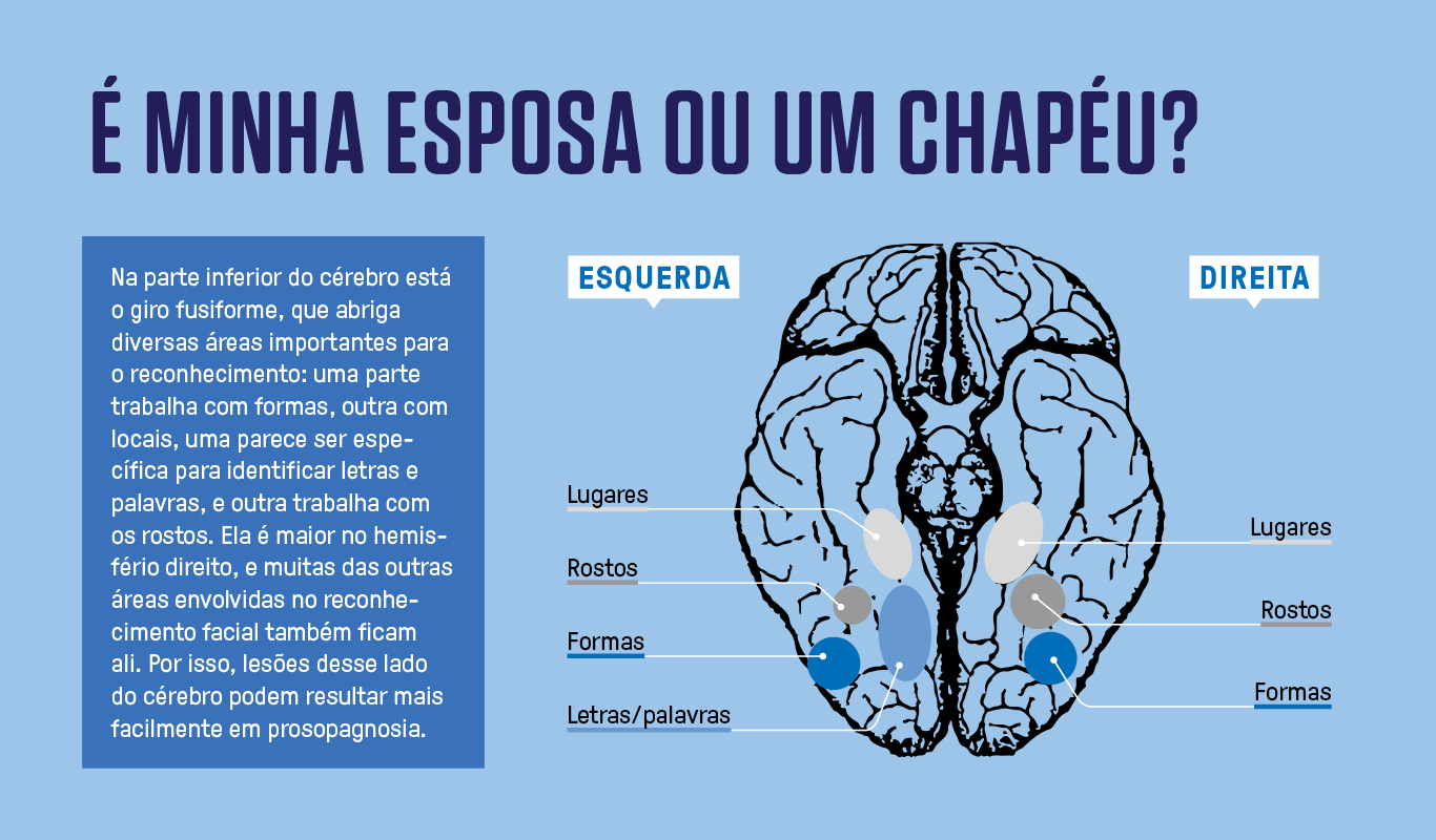 Infogr&aacute;fico simples, em fundo azul claro, de um c&eacute;rebro e a localiza&ccedil;&atilde;o de algumas &aacute;reas de mem&oacute;ria.