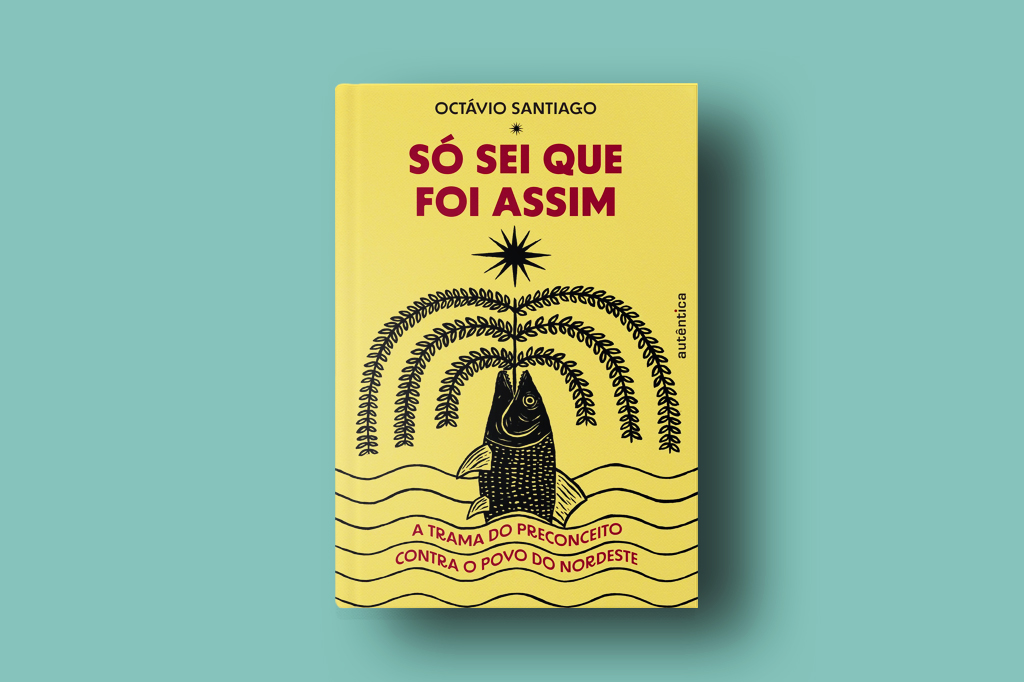 Imagem, em fundo verde claro, do livro Só sei que foi assim.
