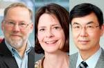 Fotografia doa ganhadores do Nobel Fred Ramsdell, Mary E. Brunkow e Shimon Sakaguchi.