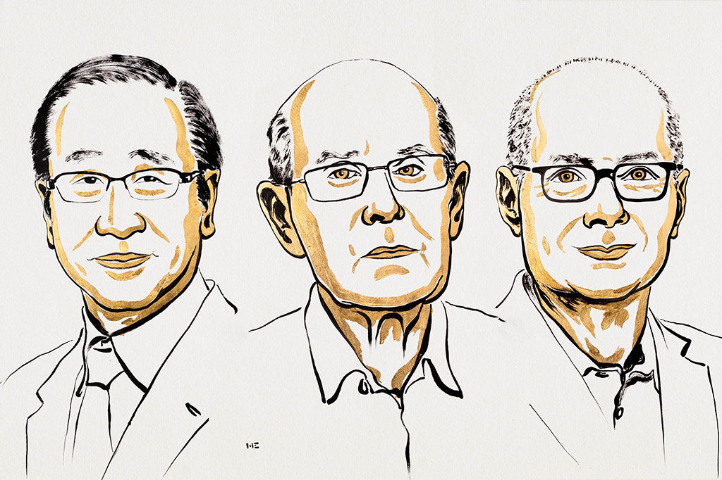 Pequeno por fora, gigante por dentro: Nobel de Química premia cientistas por trás dos cômodos microscópicos