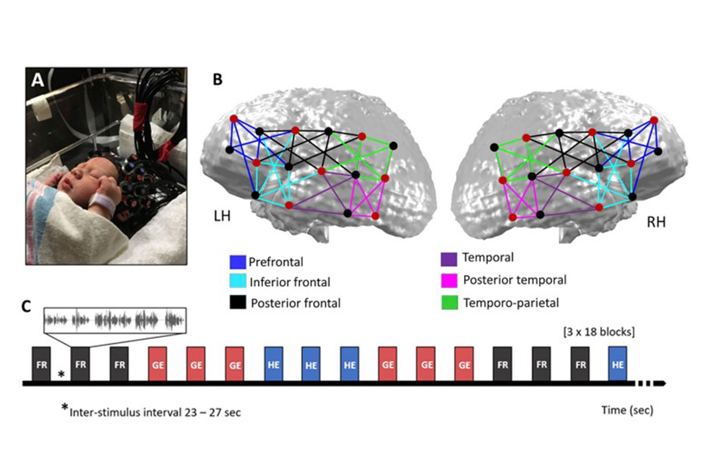 1110-Bebe-layout_site1