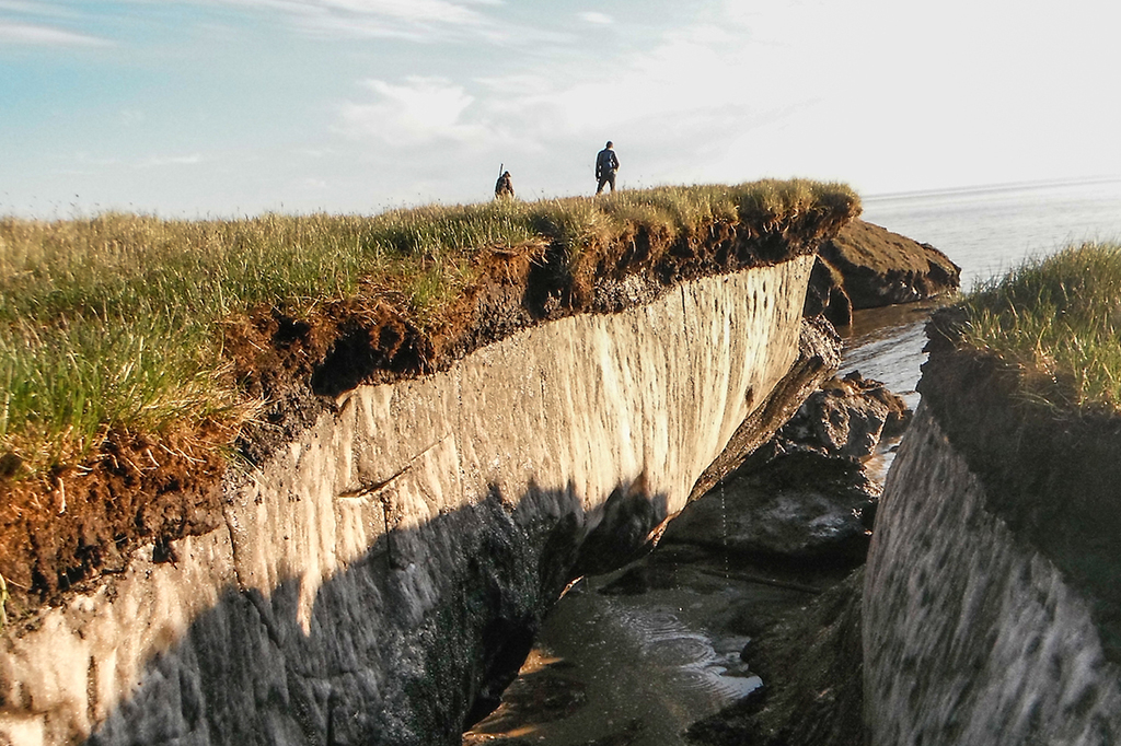 Cientistas acordam microorganismos presos no permafrost há 40 mil anos