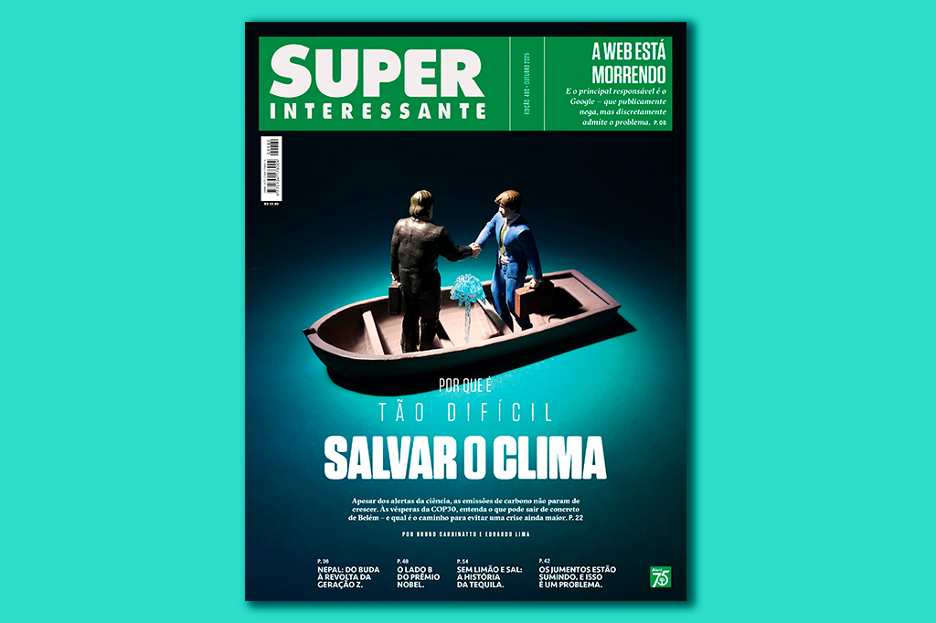 Capa da edi&ccedil;&atilde;p 480 da Superinteressante.