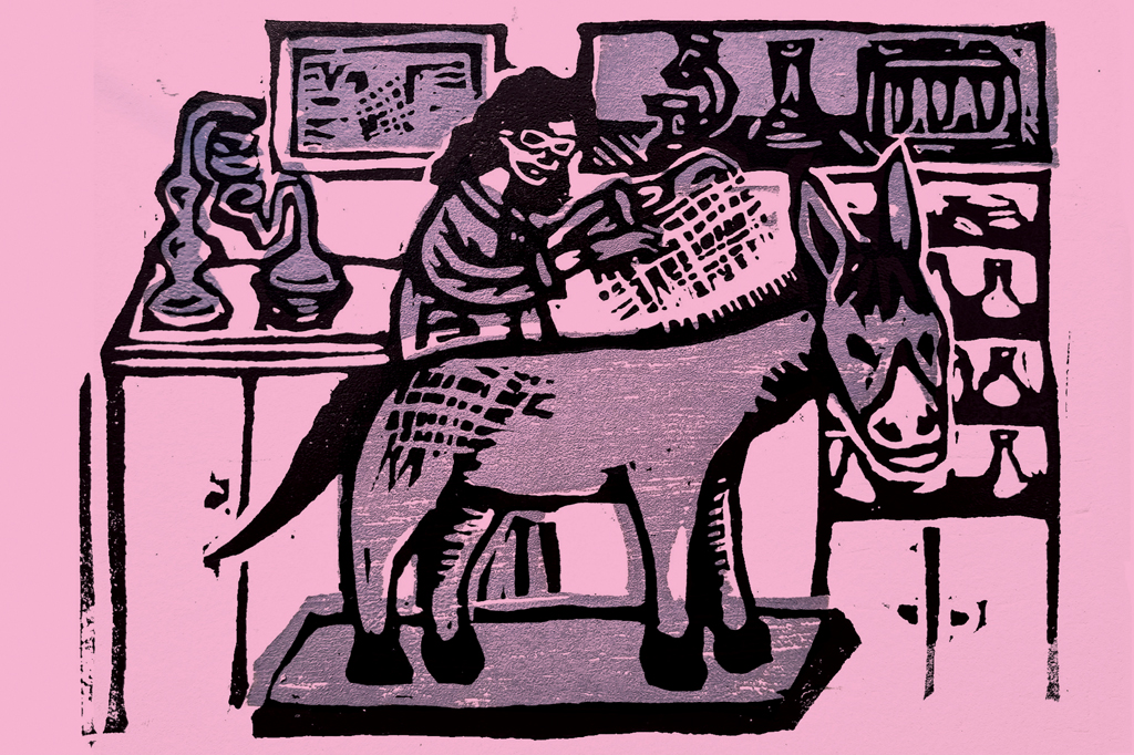 Imagem de uma xilogravura, em fundo rosa. V&ecirc;-se um jumento recebendo cuidados de uma veterin&aacute;ria. Ao fundo, uma estante com equipamentos de laborat&oacute;rio.