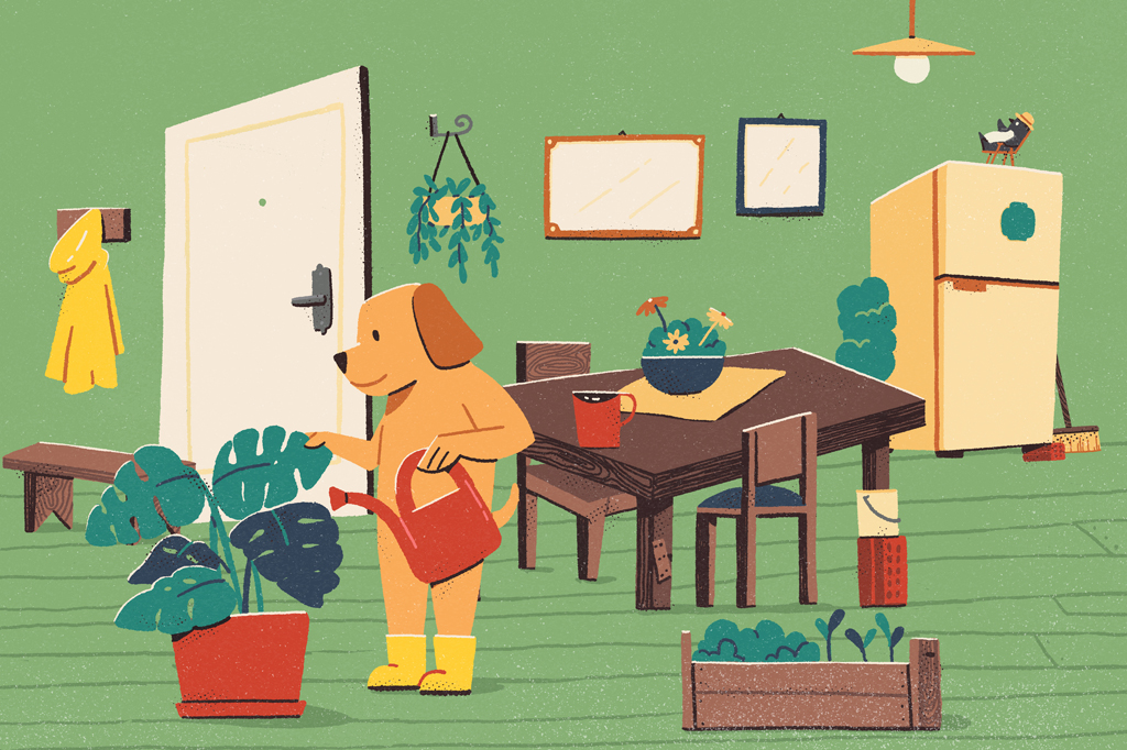 Ilustra&ccedil;&atilde;o c&ocirc;mica, em fundo verde, de um cachorro, de pelo marrom, usando botas amarelas e regando uma planta numa sala limpa e bem decorada.