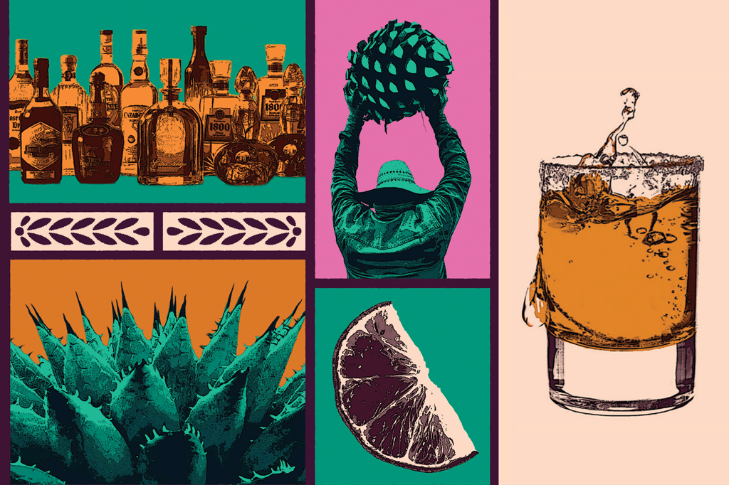 Da planta ao copo: a história da tequila