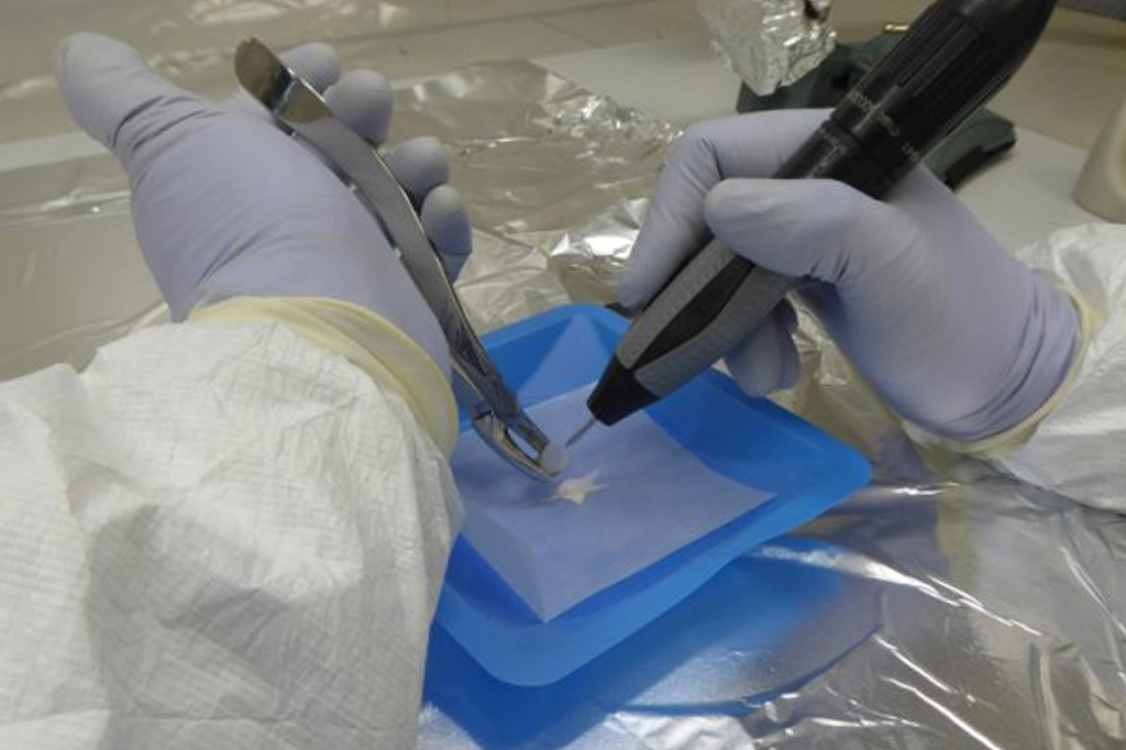 Análise de DNA revela linhagem desconhecida que viveu na Argentina por 8.500 anos