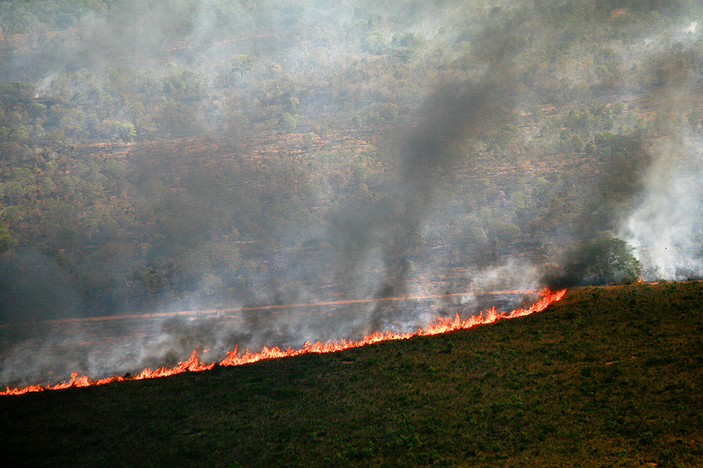 O que são os “pontos de não retorno”, tema que domina os debates científicos da COP30