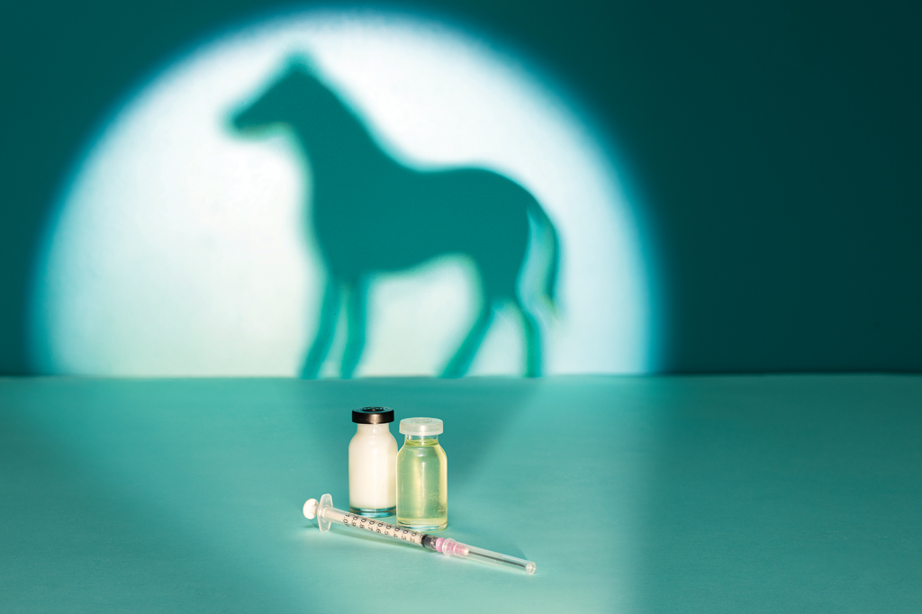 Imagem, de tom esverdeado, projetando a sombra de um cavalo na parede. Em primeiro plano, v&ecirc;-se, duas ampolas de vidro e uma seringa.