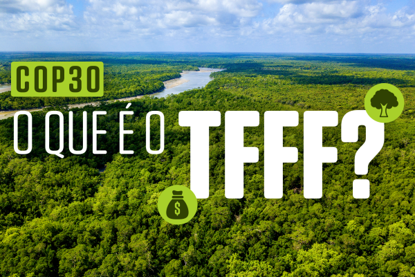 Fundo Florestas Tropicais para Sempre: entenda como será usado o dinheiro