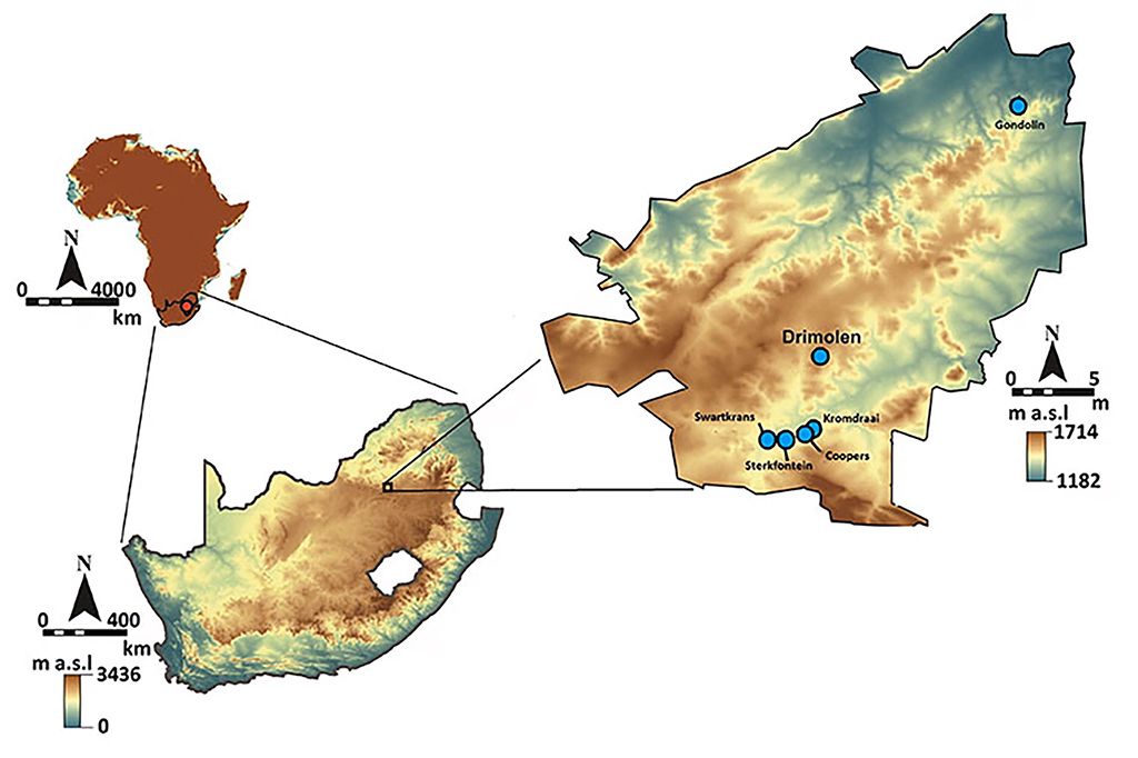Mapa mostrando o local onde Little Foot foi descoberto
