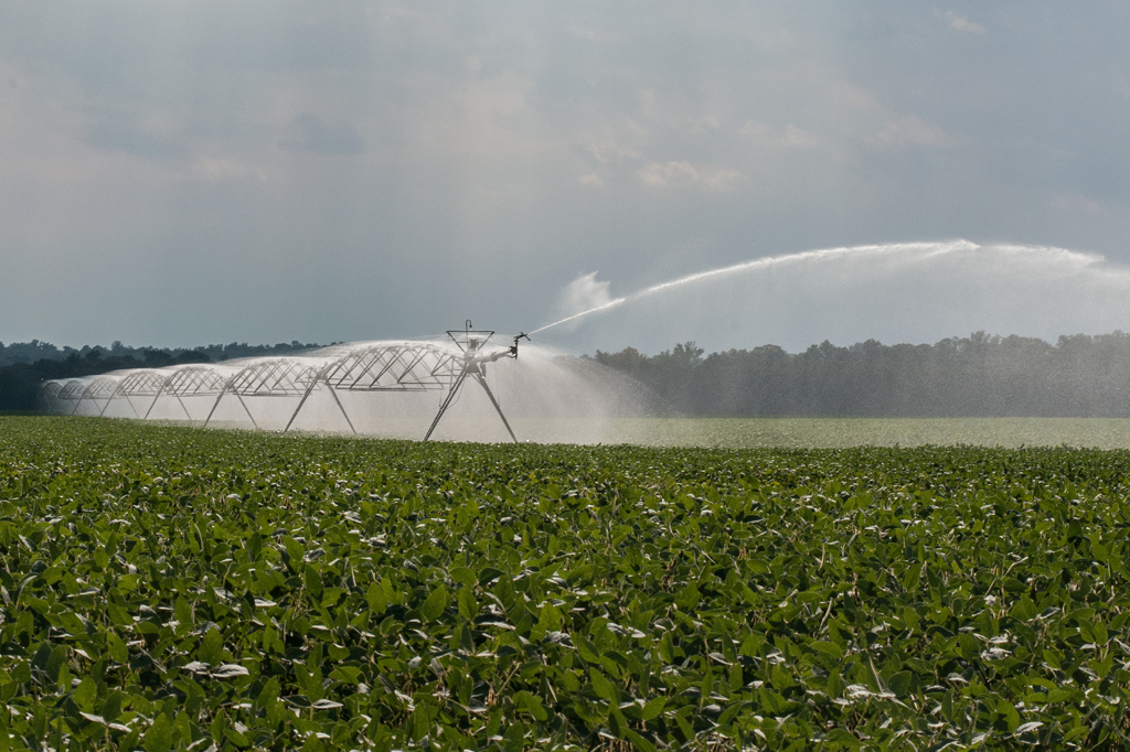 Imagem de uma lavoura sendo irrigada por jatos d'água.