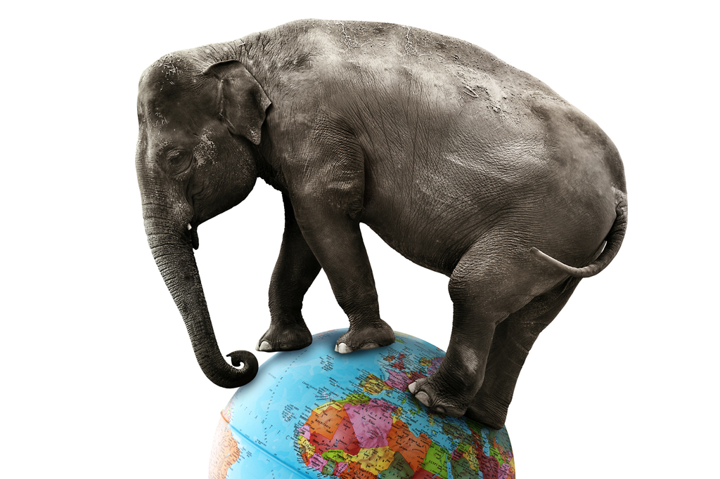 Imagem, em fundo branco, de um elefante se equilibrando num globo terrestre.