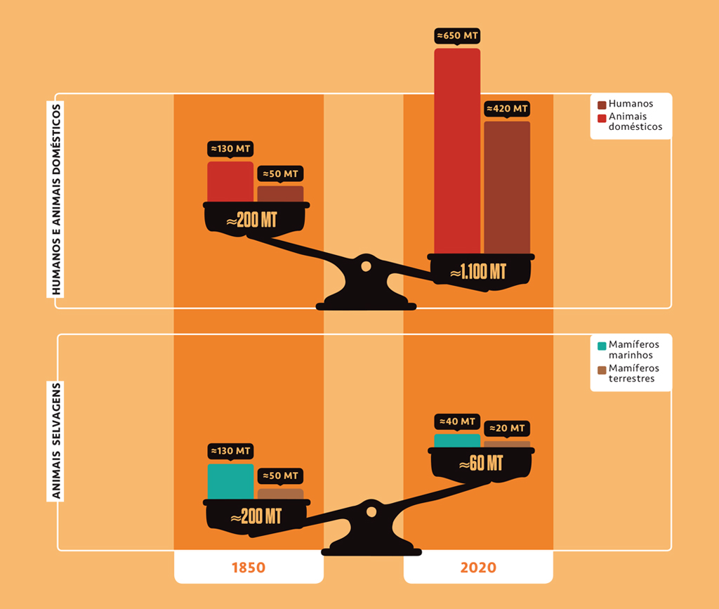 Gr&aacute;fico, em fundo salm&atilde;o, com dados sobre os peso dos mam&iacute;feros sobre o Planeta Terra.