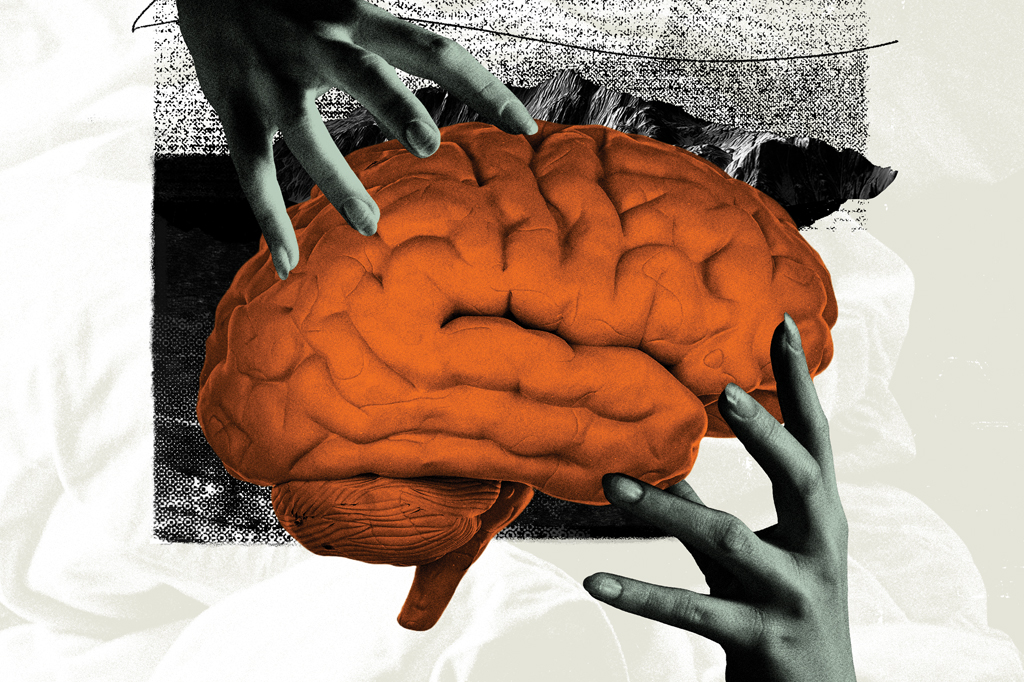 Foto colagem de um c&eacute;rebro alaranjado segurando por duas m&atilde;os femininas.