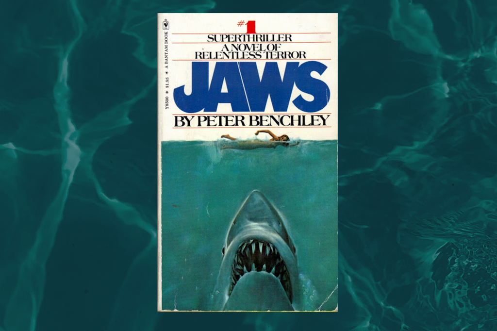 Imagem, em fundo verde &aacute;gua, com a capa do livro 