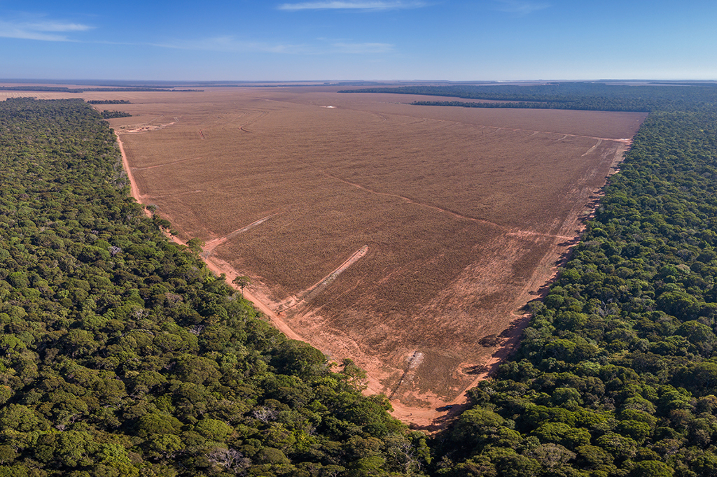 Fotografia vista aérea panorâmica feita por drone do desmatamento ilegal na Amazônia, Mato Grosso, Brasil.