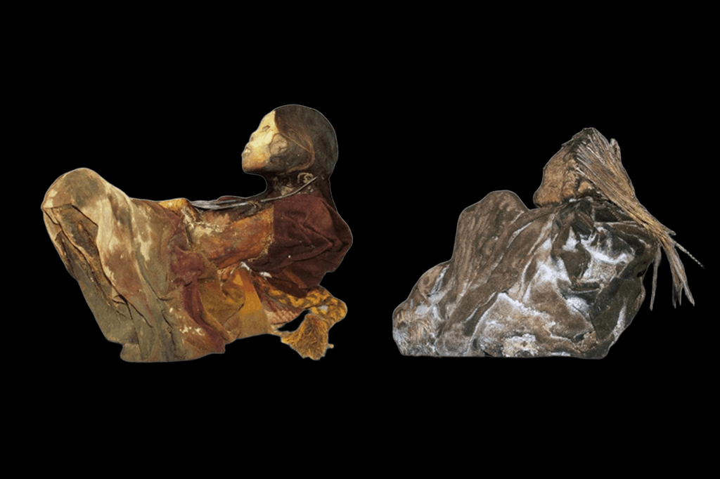 Fotografias das múmias examinadas no estudo.