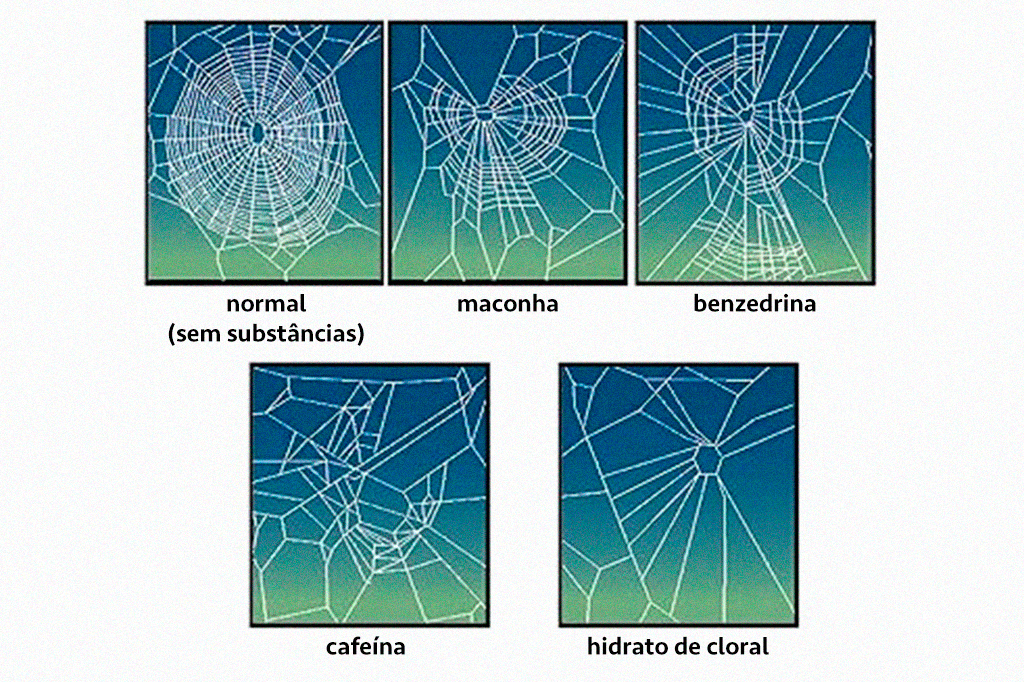 Ilustra&ccedil;&atilde;o das teias de aranha com drogas administradas e como isso afeta uma aranha e a sua capacidade de construir uma teia.