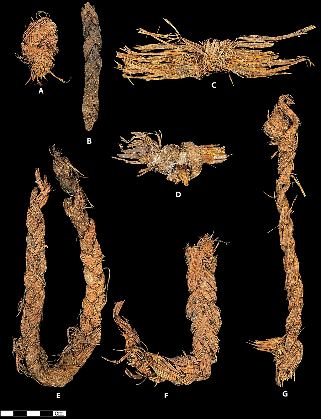 Diferentes n&oacute;s e estruturas entrela&ccedil;adas.