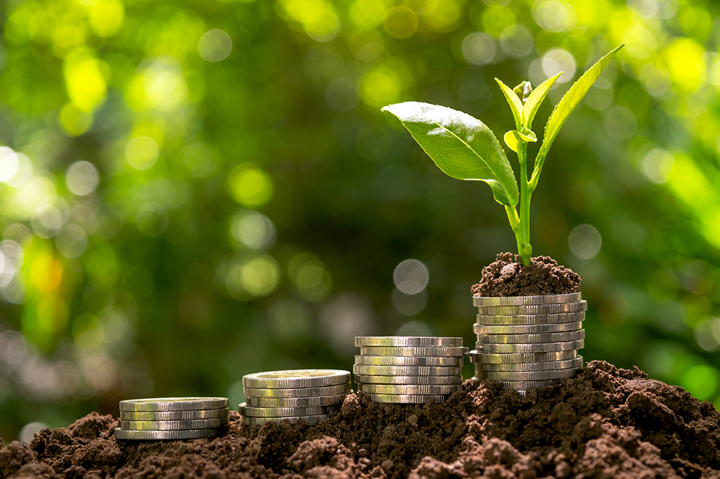 Fotografia de moedas com planta em cima colocar o solo no fundo do verde da natureza.
