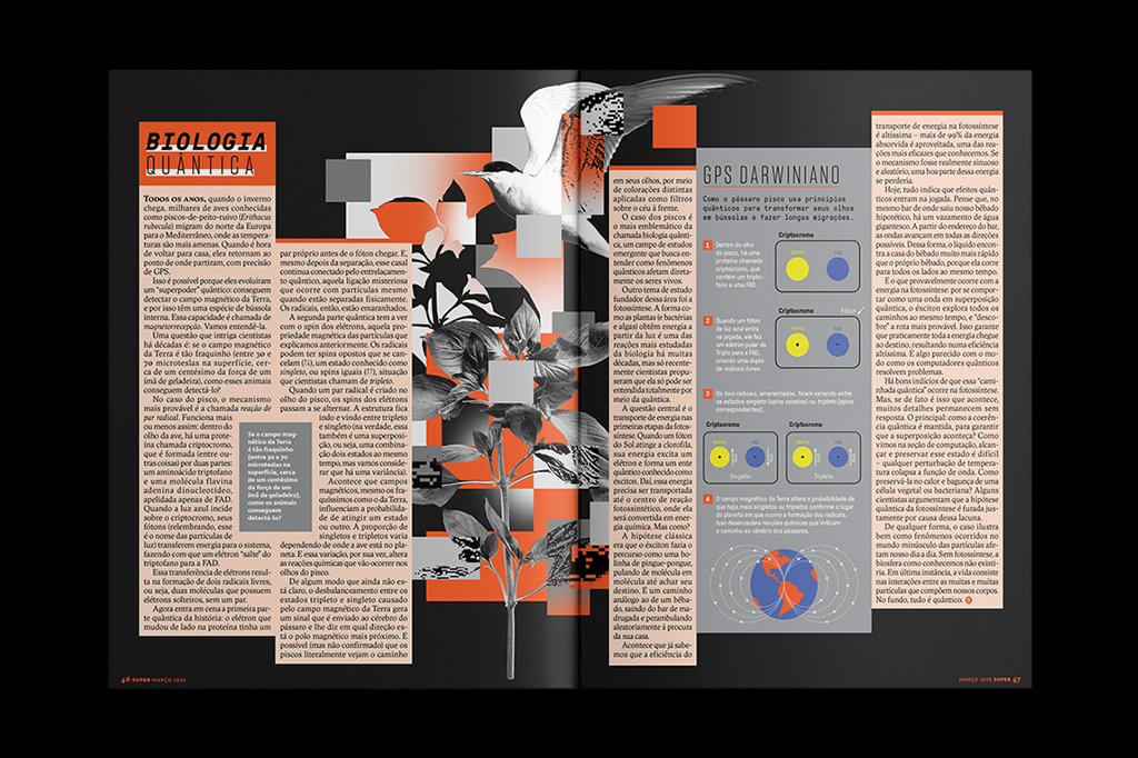 Imagem da mat&eacute;ria F&iacute;sica Qu&acirc;ntica (sem picaretagem) da edi&ccedil;&atilde;o 473.