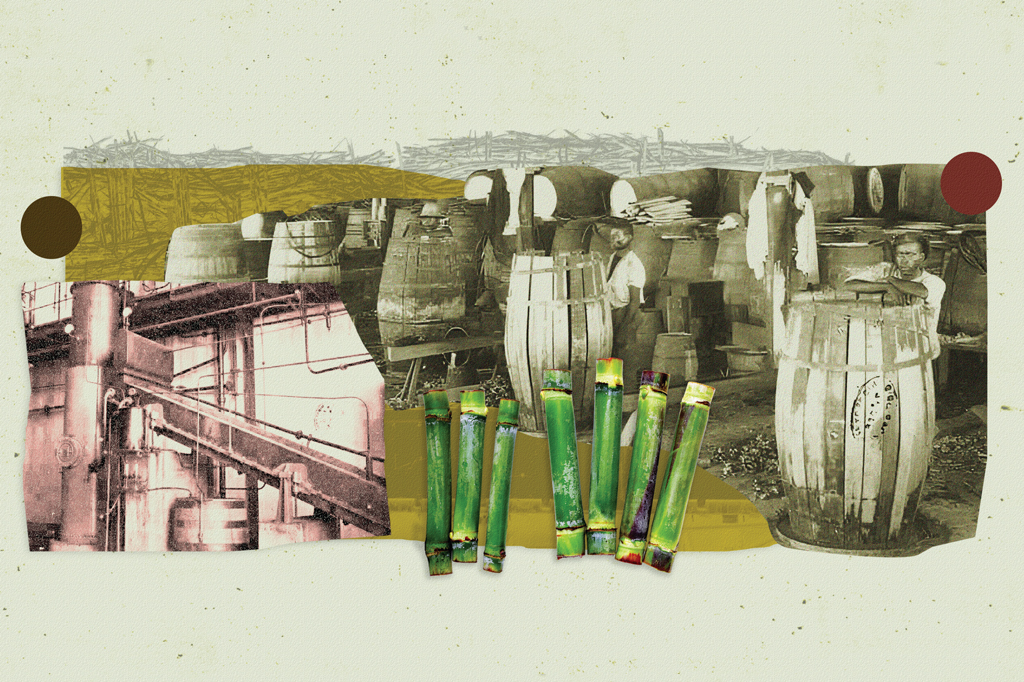 Imagem, em fundo verde claro, de colagem feita com imagens de barris de carvalho, uma usina e talos de cana-de-a&ccedil;&uacute;car.