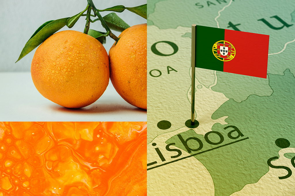 Montagem da fruta laranja e a cor ao lado do mapa de Portugal com uma bandeira.