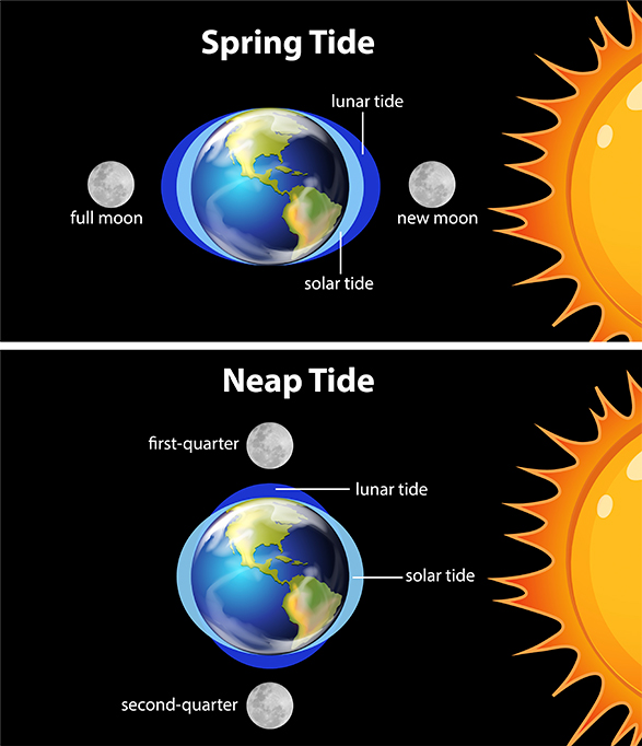 Ilustra&ccedil;&atilde;o de Diagrama que mostra mar&eacute;s da terra