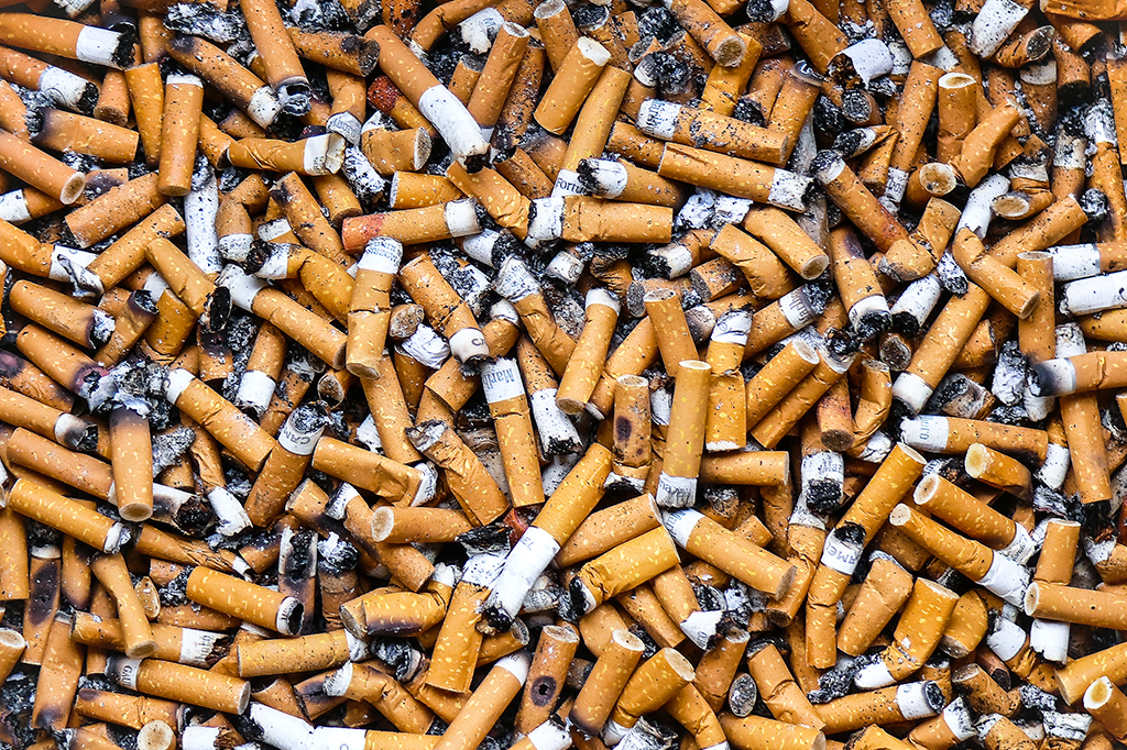 Fotografia de várias bitucas de cigarro.