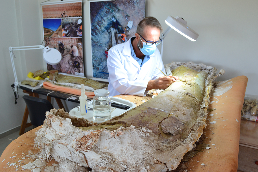 Fotografia da preparação do fóssil na Unifesspa.