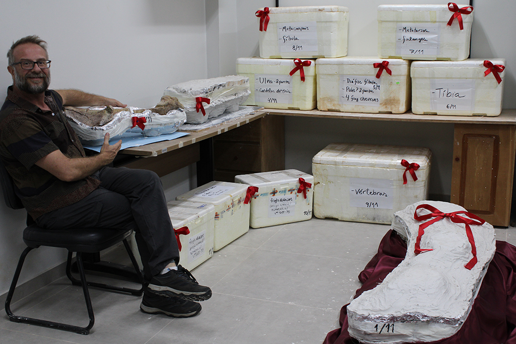 Fotografia dos F&oacute;sseis preparados para translado do estado do Par&aacute; para o Maranh&atilde;o.