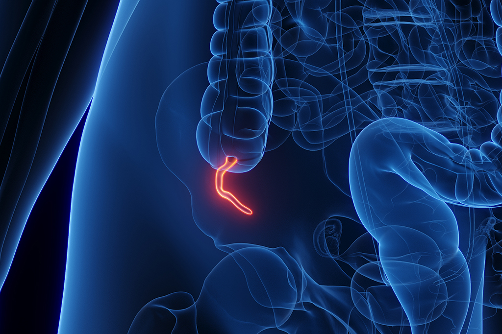 Ilustração de um apêndice.