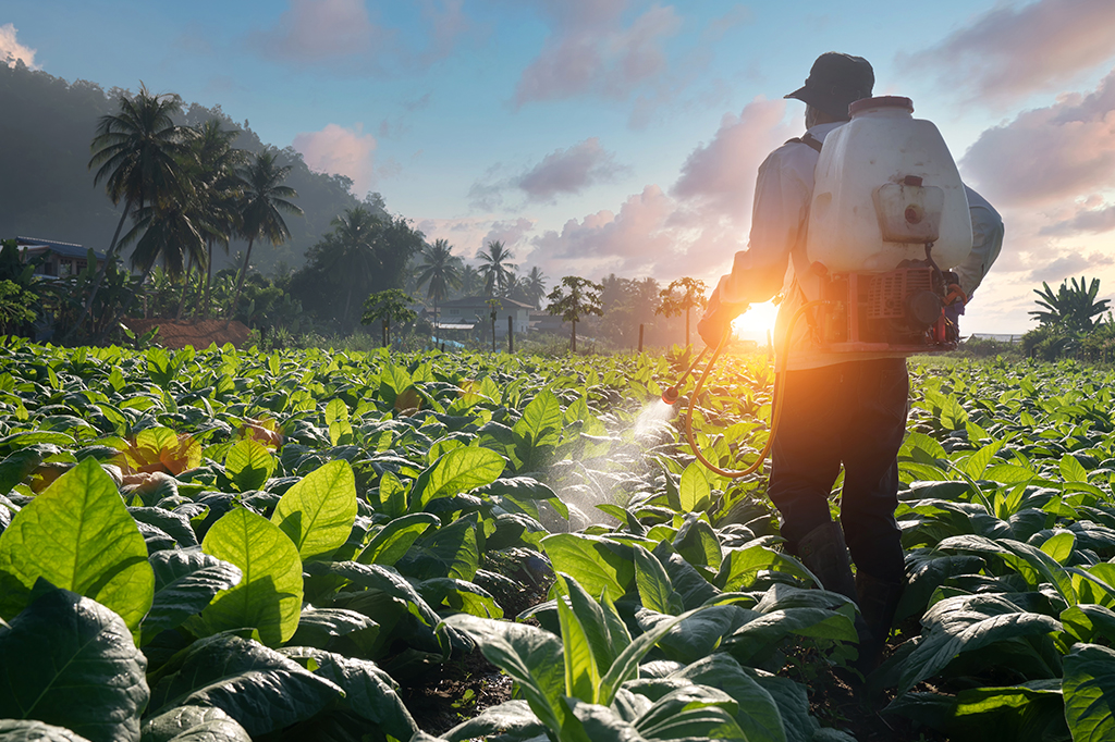Fotografia de uma agricultor no campo.