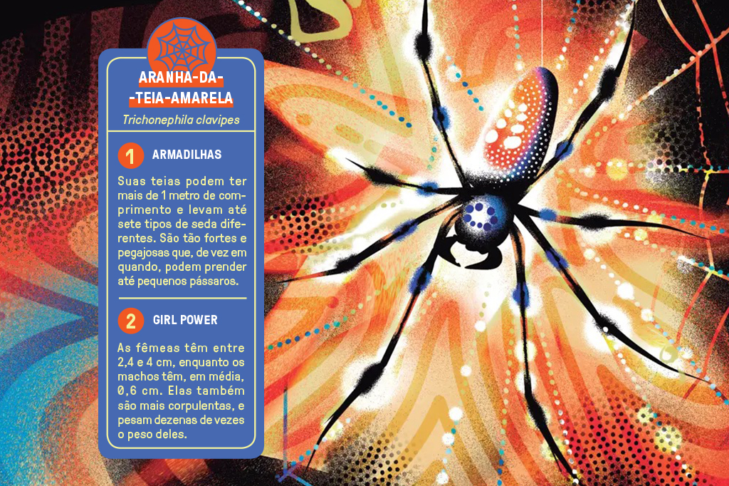 Ilustra&ccedil;&atilde;o de uma aranha.