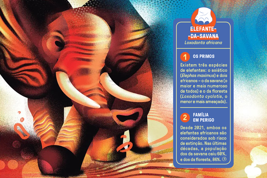 Ilustra&ccedil;&atilde;o multicolorida de um elefante.