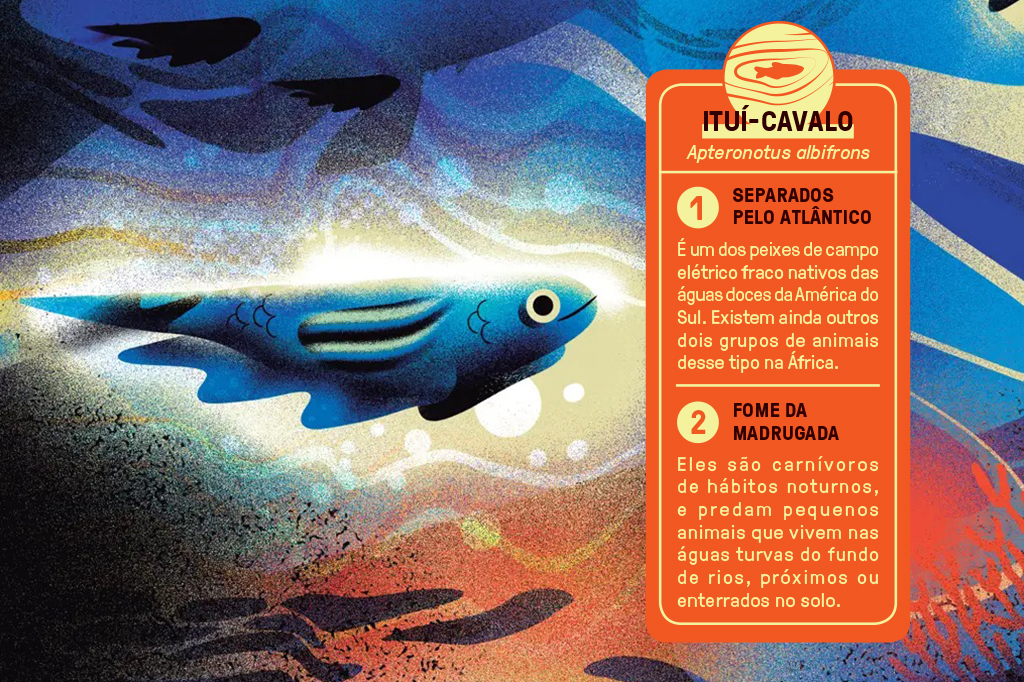 Ilustra&ccedil;&atilde;o multicolorida de um peixe-eletrico.