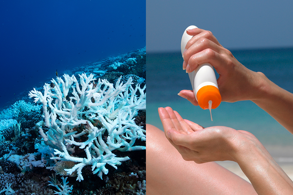 Fotografia de um branqueamento de Corais ao lado a fotografia d eum protetor solar.