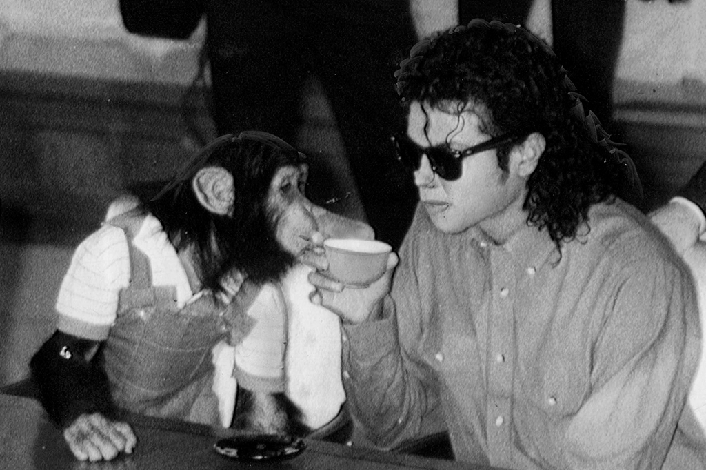 Fotografia do cantor Michael Jackson toma uma xícara de chá com seu animal de estimação, Bubbles, na Prefeitura de Osaka, em 18 de setembro de 1987, em Osaka, Japão.